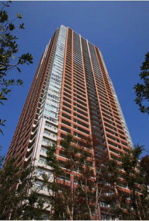 THE KOSUGI TOWER